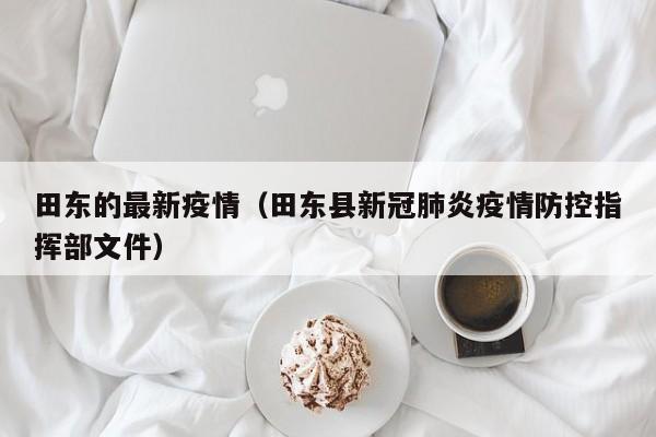 田东的最新疫情（田东县新冠肺炎疫情防控指挥部文件）